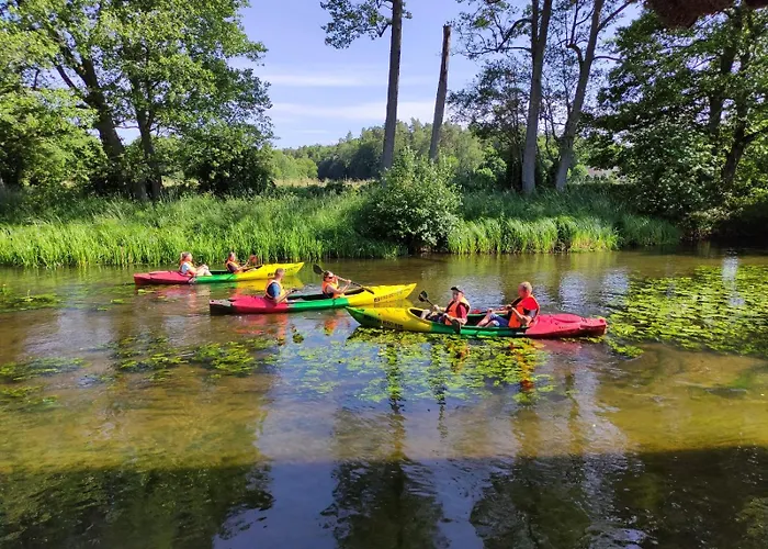 Lawendowy Zakatek Nr 1 Z Balia Sominy